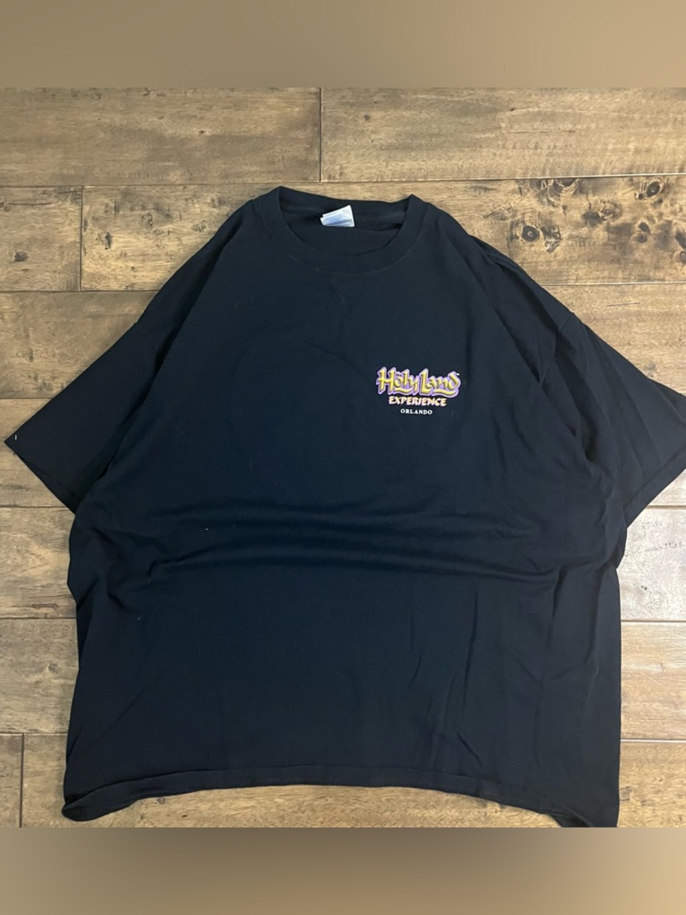 Vintage men’s Holy Land Hotel T Shirt